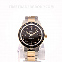 Omega Seamaster 300 Omega Master Co-Axial 41 mm 233.20.41.21.01.002